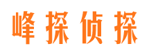 无极私家调查公司